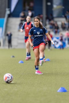 Bild 93 - wBJ Hamburger SV - FC Suederelbe : Ergebnis: 9:0